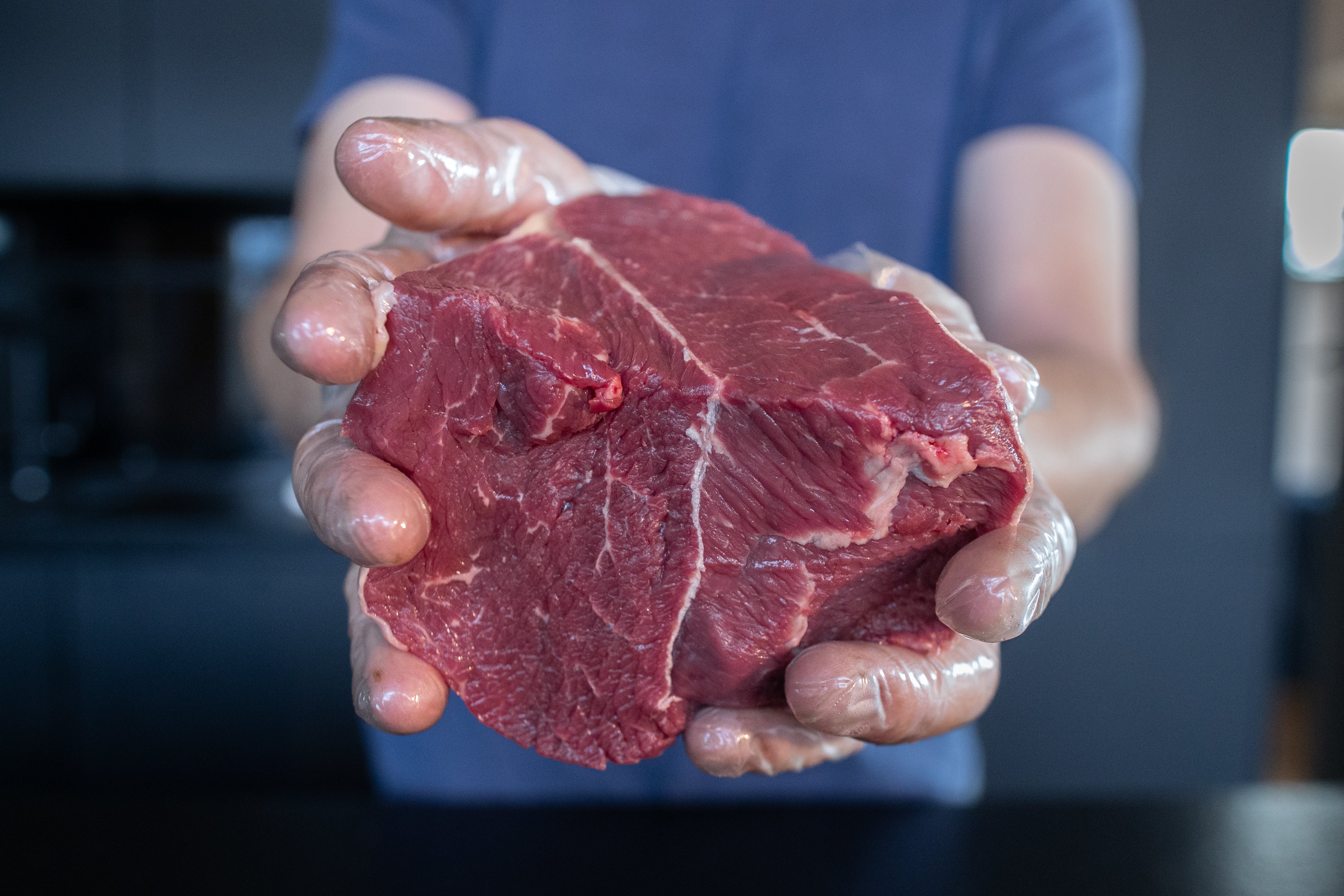 Řezník drží plec Fox Meadows – kvalitní hovězí připravené k pomalé úpravě