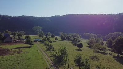 Video, které představuje farmu Fox Meadows – rodinná farma s tradicí, která Vám doveze až na stůl poctivé farmářské hovězí maso z ekologického chovu